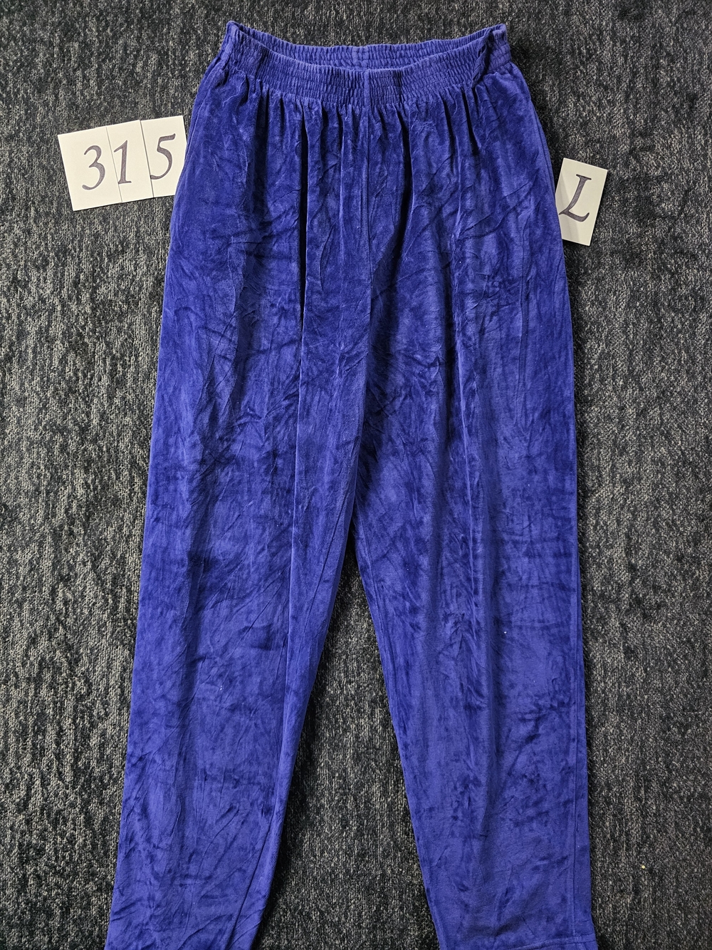 Liz Sport Velour Elastic Waist Pants in Royal Purple
